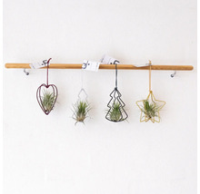 Decoratieve luchtplanten in hart-, boom- en stervorm hangen aan een houten stang.