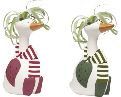 FLORASELF Luchtplant Tillandsia in pot gans Ø 6 cm H 15 cm Twee decoratieve gansfiguren met sjaal en planten