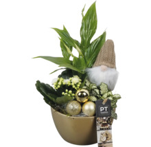 Arrangement met verschillende planten, kabouterfiguur en kerstballen in een gouden sierpot