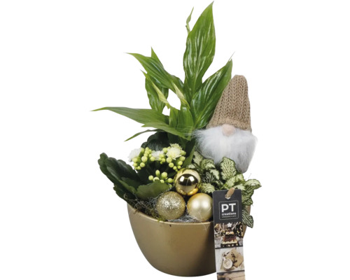 Arrangement met verschillende planten, kabouterfiguur en kerstballen in een gouden sierpot