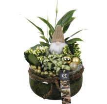 Plantenschaal met diverse groene planten, kabouterfiguur en kerstballen