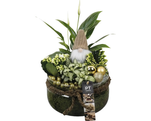 Plantenschaal met diverse groene planten, kabouterfiguur en kerstballen