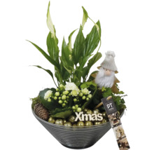 Kerstdecoratie met groene plant, witte bloemen, kerstmanfiguur, dennenappel en gouden ballen in een grijze schaal