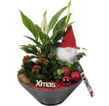 Kerstarrangement met lepelplant, Kalanchoe, kabouter en kerstballen in schaal