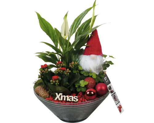 Kerstarrangement met lepelplant, Kalanchoe, kabouter en kerstballen in schaal