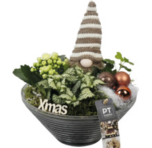 Kerstdecoratie met planten, kabouterfiguur en ballen in een pot