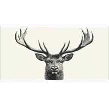 Illustratie van een hert met gewei