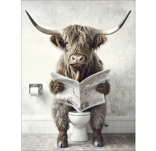 Geïllustreerde Hooglander koe op toilet leest krant