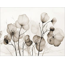 Illustratie van transparante bloemen op stelen