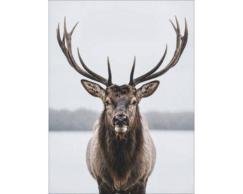 PURE LIVING Schilderij canvas Groot hert I 57x77 cm Portret van een hert met een groot gewei