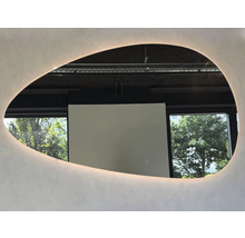 Ovale spiegel met verlichting