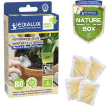 Edialux Nema-T-Bag potplant voor de bestrijding van rouwvliegjes, verpakking met acht theezakjes