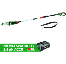 Accu snoeizaag met draagriem en accu