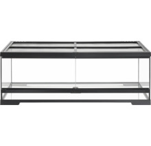 Glazen terrarium met zwart frame