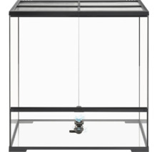 Glazen terrarium met waterfontein