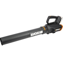 WORX accu bladblazer