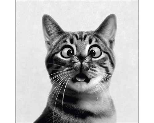 Close-up van een kat met een vlinder op zijn neus