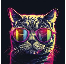 Portret van een kat met een bril