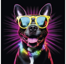 Portret van een hond met zonnebril en lichtsnoer