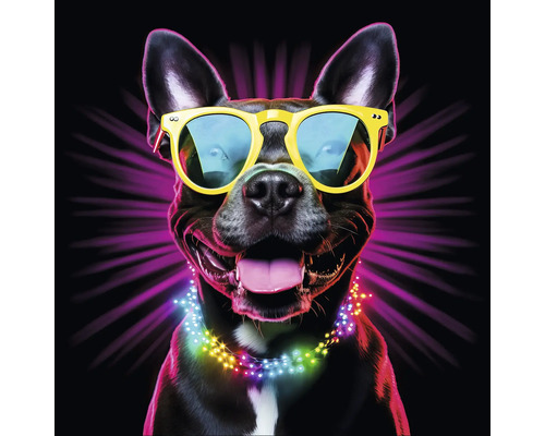 Portret van een hond met zonnebril en lichtsnoer