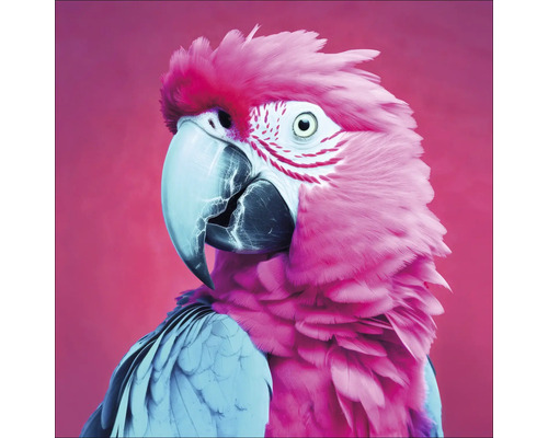 Portret van een papegaai