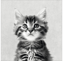 Portret van een gestreepte jonge kat