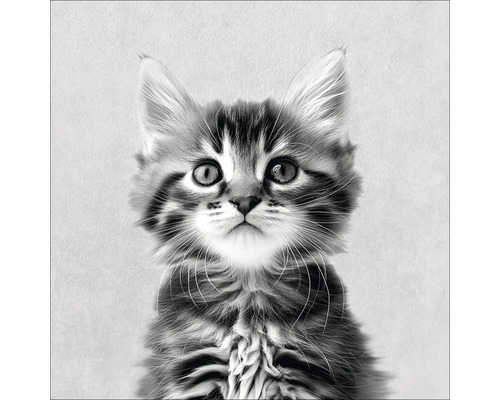 Portret van een gestreepte jonge kat