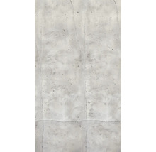 Betonnen muur met scheuren