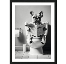 Zwart-witfoto van een hond die op een toilet zit en een krant leest, ingelijst
