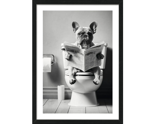 Zwart-witfoto van een hond die op een toilet zit en een krant leest, ingelijst