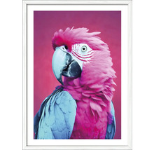 Ingelijste afbeelding met roze papegaai