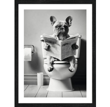 Ingelijste poster met een hond op een toilet die een krant leest
