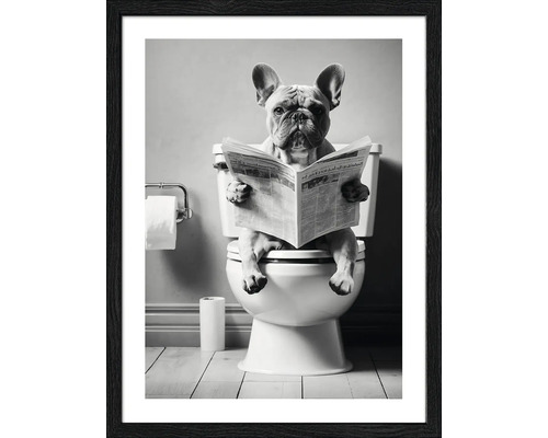 PURE LIVING Schilderij met lijst Grappige Bulldog 33x43 cm Ingelijste poster met een hond op een toilet die een krant leest