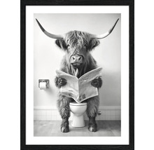 Ingelijste afbeelding van een Schotse hooglander die op een toilet zit en een krant leest