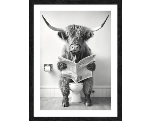 PURE LIVING Schilderij met lijst Grappige Schotse Hooglander I 33x43 cm Ingelijste afbeelding van een Schotse hooglander die op een toilet zit en een krant leest