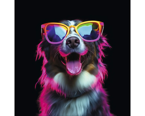 Hond met zonnebril