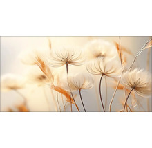 Close-up van delicate, lichte planten met tere zaadhoofden