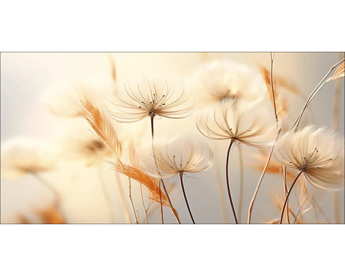 PURE LIVING Schilderij canvas Transparant Bloemen VII 100x50 cm Close-up van delicate, lichte planten met tere zaadhoofden