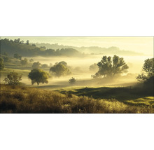Mist ligt over een heuvelachtig landschap met bomen en gras.