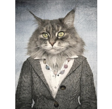Portret van een kat in een vest outfit