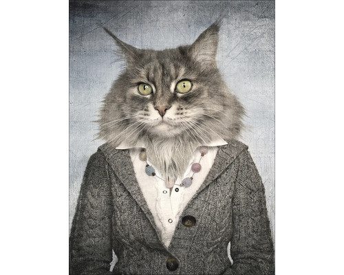 Portret van een kat in een vest outfit
