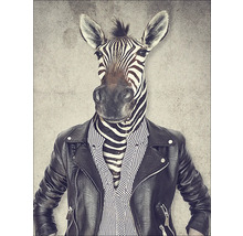 Illustratie van een antropomorfe zebrafiguur met leren jack en overhemd