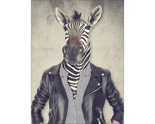 Illustratie van een antropomorfe zebrafiguur met leren jack en overhemd