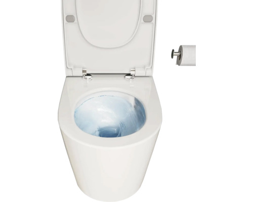 Witte toiletpot met open deksel en toiletpapierhouder