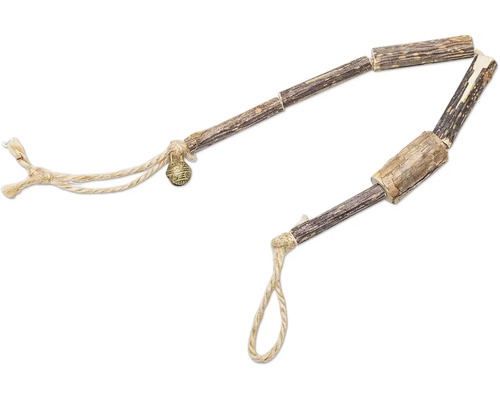 Twee hertenpenissen met touw en belletje