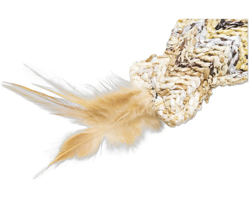 Decoratief veren element van natuurlijke materialen