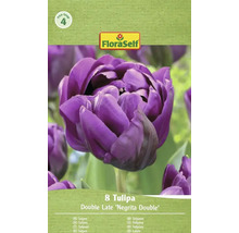 Verpakking met 8 tulpen van de soort Double Late Negrita Double van FloraSelf