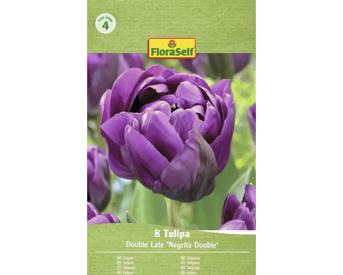 Verpakking met 8 tulpen van de soort Double Late Negrita Double van FloraSelf