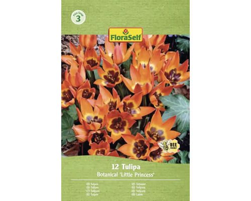 Verpakking met 12 botanische 'Little Princess' tulpen van FloraSelf