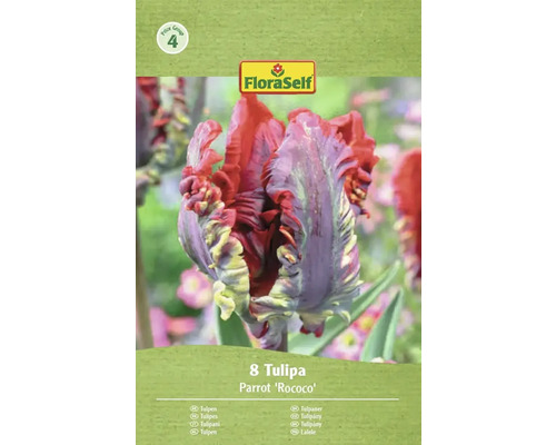 FloraSelf Parrot Rococo tulpenverpakking met acht bloembollen